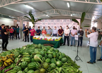 Mais de 63 toneladas de alimentos são distribuídos em Miguel Alves